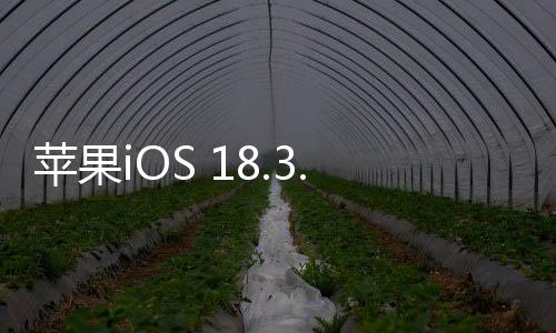 蘋果iOS 18.3.1正式版發(fā)布 修復(fù)重大漏洞