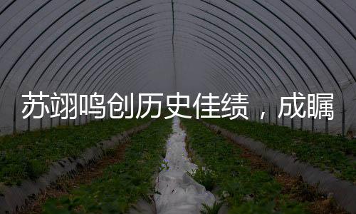 蘇翊鳴創(chuàng)歷史佳績，成矚目焦點