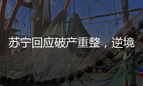 蘇寧回應(yīng)破產(chǎn)重整，逆境中的重生與轉(zhuǎn)型之路