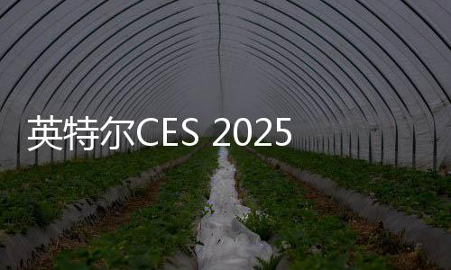 英特爾CES 2025舉辦主題演講 重點(diǎn)介紹下一代AI PC技術(shù)