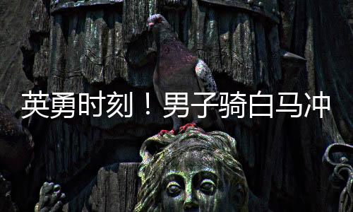 英勇時(shí)刻！男子騎白馬沖入江中救下落水父女