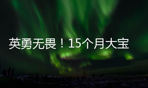 英勇無(wú)畏！15個(gè)月大寶寶滾爬救媽