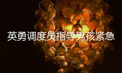 英勇調(diào)度員指導(dǎo)男孩緊急接生，親情至上的救援故事傳遞溫情