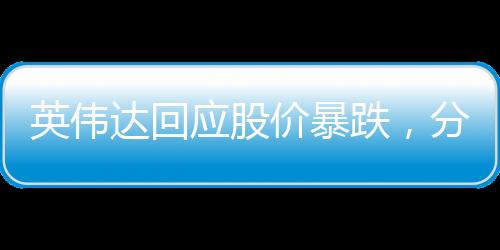 英偉達(dá)回應(yīng)股價(jià)暴跌，分析與展望