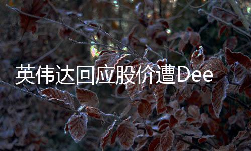 英偉達(dá)回應(yīng)股價(jià)遭DeepSeek暴擊，一場(chǎng)誤解與投資者信心的重塑