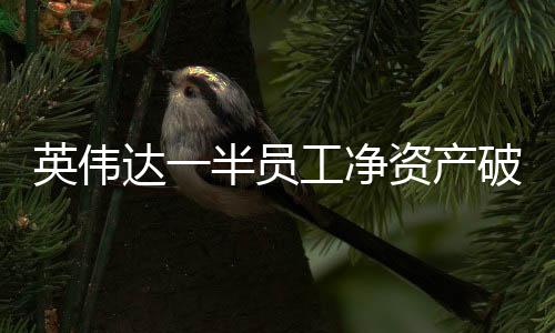 英偉達(dá)一半員工凈資產(chǎn)破億，科技創(chuàng)新與員工福利共成長(zhǎng)的標(biāo)桿企業(yè)新聞報(bào)道