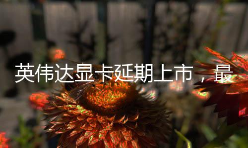 英偉達顯卡延期上市，最新動態(tài)與技術(shù)展望