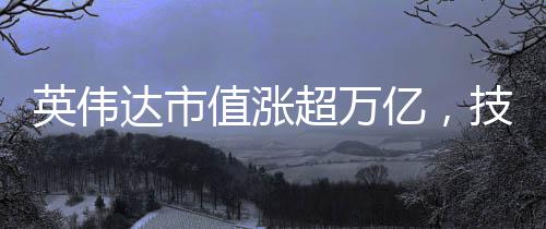 英偉達(dá)市值漲超萬億，技術(shù)巨頭的崛起與未來展望