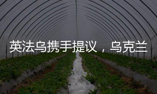 英法烏攜手提議，烏克蘭和平計劃邁向新篇章