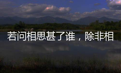 若問相思甚了誰，除非相見時