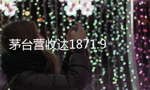 茅臺(tái)營(yíng)收達(dá)1871.9億元，探討其業(yè)績(jī)背后的多方面因素
