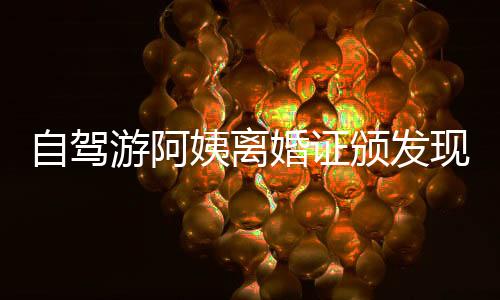 自駕游阿姨離婚證頒發(fā)現(xiàn)場(chǎng)，笑容背后的故事引人深思