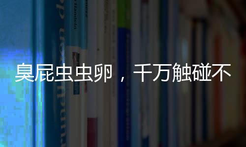 臭屁蟲蟲卵，千萬(wàn)觸碰不得！危險(xiǎn)就在我們身邊的一二三……八項(xiàng)關(guān)鍵提示
