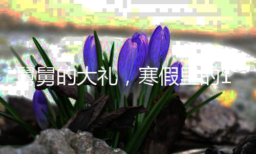舅舅的大禮，寒假里的16個外甥與三頭豬的溫馨故事