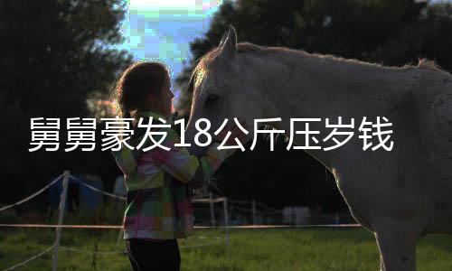 舅舅豪發(fā)18公斤壓歲錢，傳統(tǒng)年味中的大手筆