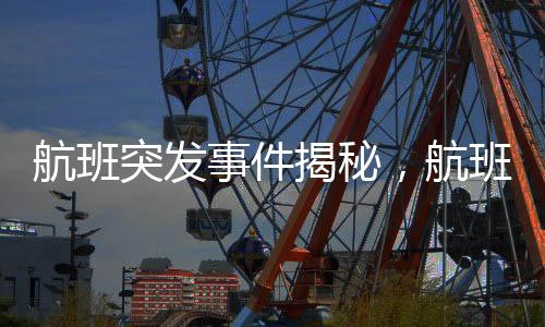 航班突發(fā)事件揭秘，航班上12個(gè)廁所堵塞，緊急應(yīng)對保障旅客安全