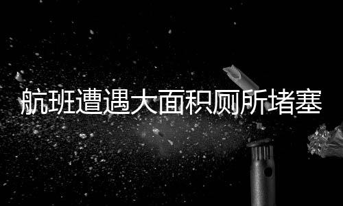 航班遭遇大面積廁所堵塞，只因特殊緊急情況——航班堵塞風(fēng)波，突破極端廁所問題回顧