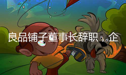 良品鋪?zhàn)佣麻L辭職，企業(yè)變革與未來展望