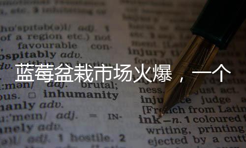 藍(lán)莓盆栽市場火爆，一個(gè)月成交超百萬盆——探究盆栽熱潮背后的動(dòng)因