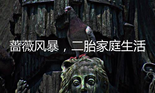 薔薇風(fēng)暴，二胎家庭生活真實(shí)寫(xiě)照