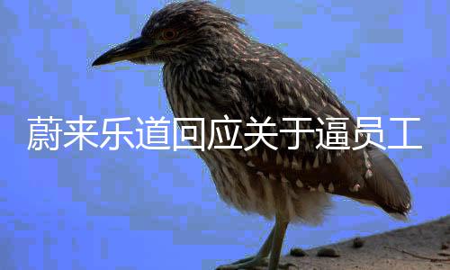 蔚來樂道回應(yīng)關(guān)于逼員工買車并辭退傳聞的文章