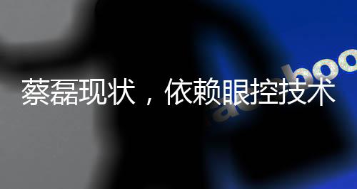 蔡磊現(xiàn)狀，依賴(lài)眼控技術(shù)交流
