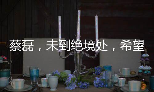 蔡磊，未到絕境處，希望之花綻放正盛