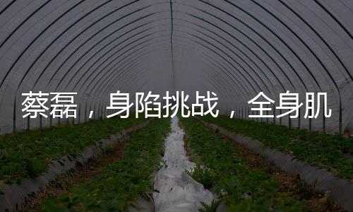 蔡磊，身陷挑戰(zhàn)，全身肌肉銳減引發(fā)關(guān)注——解讀一個普通背后的不平凡故事