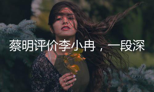 蔡明評價李小冉，一段深度的解讀與解析（新聞文章）
