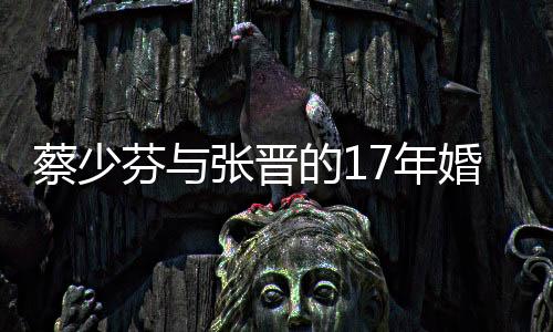 蔡少芬與張晉的17年婚姻，愛情長跑背后的堅(jiān)守與幸福