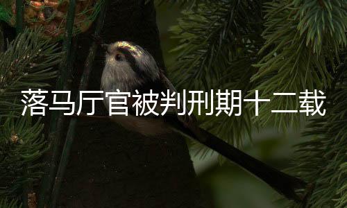 落馬廳官被判刑期十二載，私藏三百六十九發(fā)子彈背后的故事