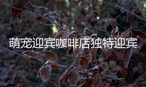 萌寵迎賓咖啡店獨(dú)特迎賓方式，貓咪化身溫馨接待員