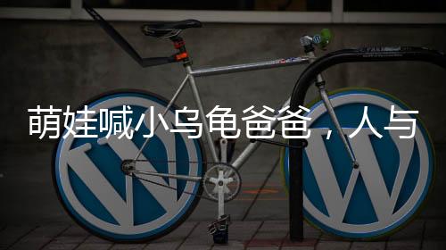 萌娃喊小烏龜爸爸，人與自然的奇妙互動