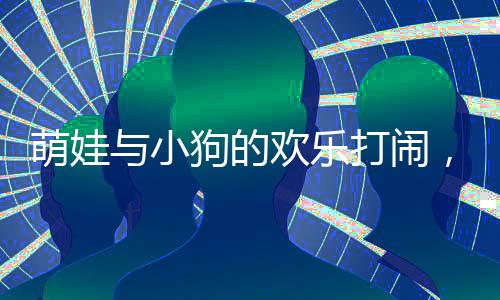 萌娃與小狗的歡樂(lè)打鬧，狗爸爸化身和事佬，和諧家庭展現(xiàn)溫馨一幕