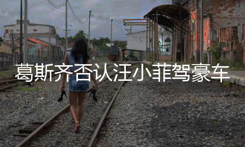 葛斯齊否認(rèn)汪小菲駕豪車赴S家哀悼，真相背后的復(fù)雜情感糾葛