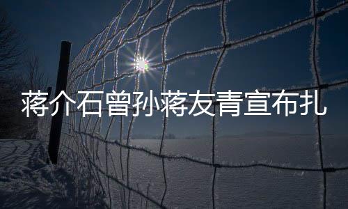蔣介石曾孫蔣友青宣布扎根杭州，蔣家新篇章的開啟