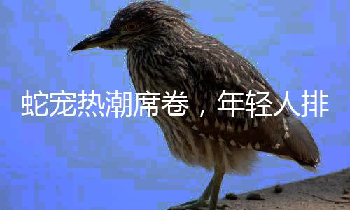 蛇寵熱潮席卷，年輕人排隊(duì)擼蛇，另類寵物養(yǎng)成新風(fēng)尚