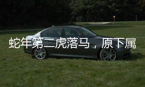 蛇年第二虎落馬，原下屬多人被查——揭示內(nèi)部腐敗的冰山一角