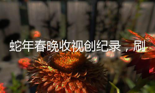 蛇年春晚收視創(chuàng)紀(jì)錄，刷新歷史，成為全民盛宴
