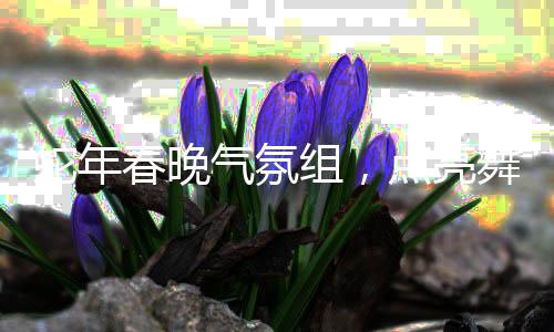 蛇年春晚氣氛組，點(diǎn)亮舞臺，烘托喜慶氣氛的神秘力量