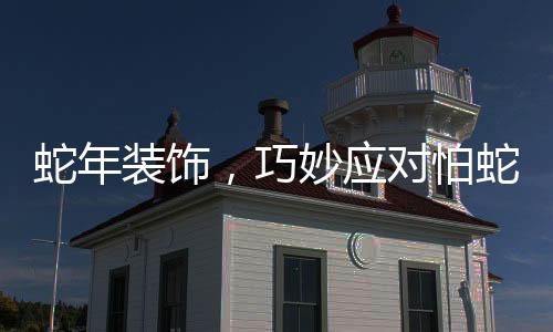蛇年裝飾，巧妙應(yīng)對怕蛇心理，為節(jié)日增添獨(dú)特魅力