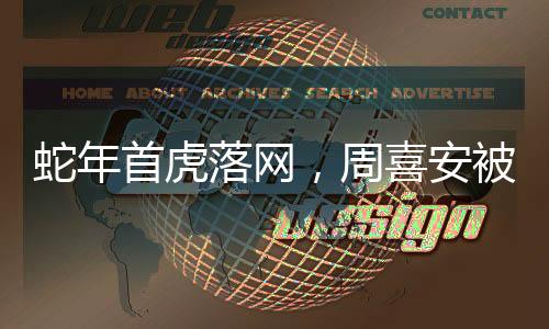 蛇年首虎落網(wǎng)，周喜安被查事件引關(guān)注