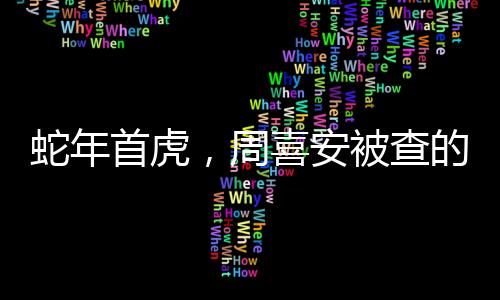 蛇年首虎，周喜安被查的震撼消息與深遠(yuǎn)影響