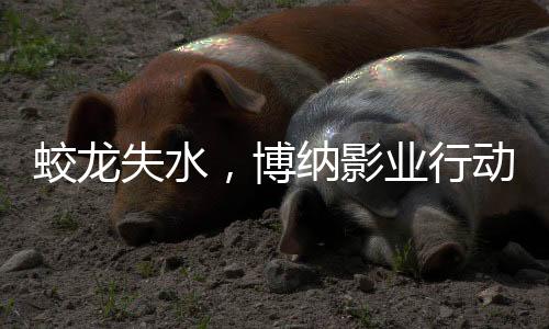 蛟龍失水，博納影業(yè)行動遭遇挫折