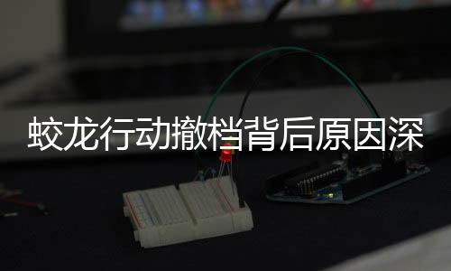 蛟龍行動撤檔背后原因深度解析