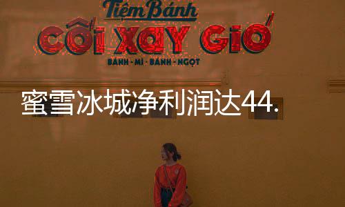 蜜雪冰城凈利潤(rùn)達(dá)44.5億，揭秘其成功背后的故事