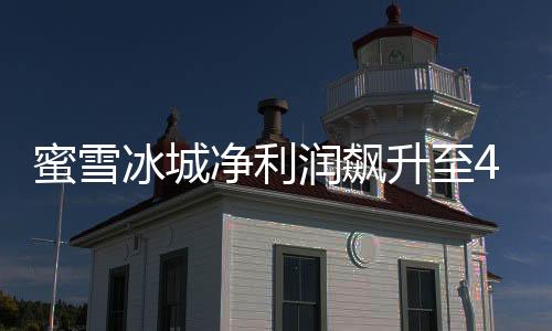 蜜雪冰城凈利潤飆升至44.5億，揭秘其成功之道