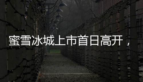 蜜雪冰城上市首日高開，漲幅超過29%，引領(lǐng)股市新風(fēng)向標(biāo)