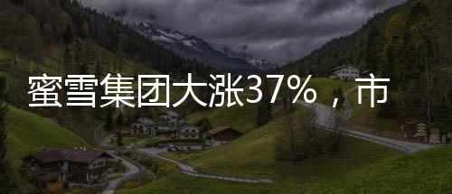 蜜雪集團(tuán)大漲37%，市場(chǎng)矚目下的崛起之路