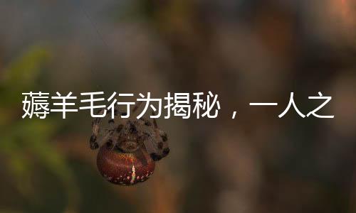 薅羊毛行為揭秘，一人之力，薅出200多萬運(yùn)費(fèi)險(xiǎn)